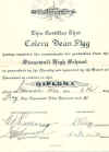 Colera Diploma.jpg (63915 bytes)