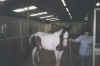 Riding - 1.jpg (37054 bytes)