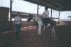 Riding - 6.jpg (35025 bytes)
